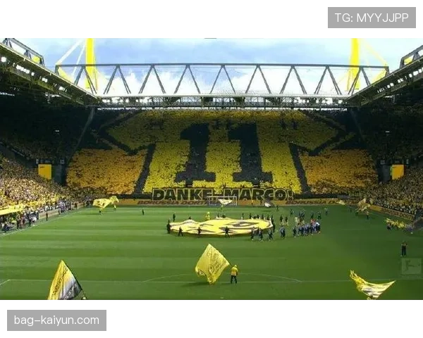 信号伊杜纳公园南看台巨型Tifo致敬退役的罗伊斯